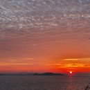 시인의 내일 이미지