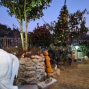 야생화 카페 펜션 | 군산펜션 수영장 있는 성산애 가족 독채 추천