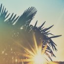 글라시스트 이미지