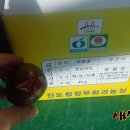 윤선정보기술 네이버블로그
