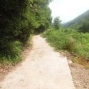 내서읍146 이미지