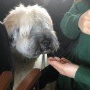 플로리안(5) 이미지