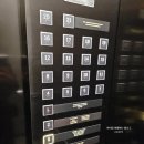 (주)인트리홀딩스 | 더블트리 힐튼 판교 이그제큐티브 라운지 올데이 서비스 내돈내산 이용후기