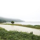 돌모로 B동 네이버블로그