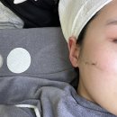 화장숲 | [깐달걀피부 되려면 여기 꼭 가보세요!] 눈의 숲 방문 후기!