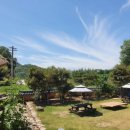 심청골민박 이미지