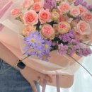 진해구 ⓒ-21 이미지