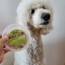 브라보 마이펫 이미지