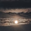 옥상슈퍼 - 안동시 밤적골길 29 | 옥상슈퍼