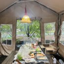 프레쉬 힐 이미지