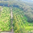 안산 와동공원 이미지