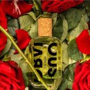 하우스인어스 이미지