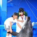 울산광역시남구도시관리공단(장생포고래생태체험관) 이미지