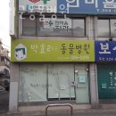 박효리군 동물병원 | 마포구 망원동 동물병원 박효리군동물병원 진료시간 접근성 이용후기