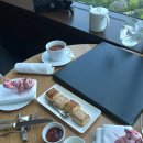 애프터눈(afternoon) | [콘래드 도쿄] TWENTY & EIGHT 라운지 앤 바 애프터눈 티 후기 (Sakura Afternoon tea with LONGINES)