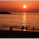 삼양해수욕장 이미지