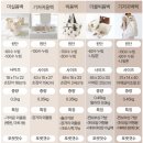 쌍둥이 기저귀가방 와이엠마마 더블빅윰백 벌룬베어 추천
