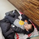강동초장