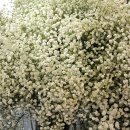 임곡초교 이미지