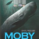모비딕 이미지