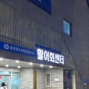 학산3 협동조합 | 🐟 성산포 수산업협동조합 식당 후기 | 회도 갈치도 한번에 즐긴 제주 가족여행 맛집 🌊