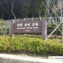 감천산림공원 이미지