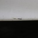 자동차피부과 이미지