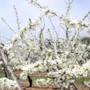 이화만리마을 이미지