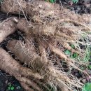 역전농장 이미지