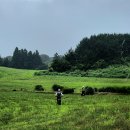 용강목장 이미지