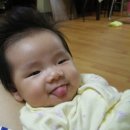 성호카 | 무슨 블로그가 생카 투어만 쓰다 끝나네 (운학 생일카페 투어 후기)