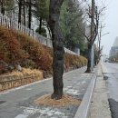 장곡중학교 이미지