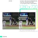 몬스터모터스 이미지