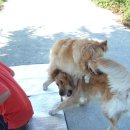 청도천10 이미지