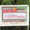 지혜의숲상무지점 | [평창 계곡 추천] 한여름에도 시원한 장전계곡 재방문 후기 (물놀이 포인트·수심·주차·화장실)