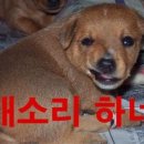 욱수초등학교 이미지