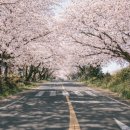 문화와 함께 즐기는 여행 일본어 이미지