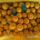 이슬농장 이미지