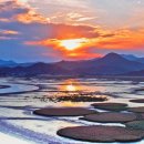 순천만습지 이미지