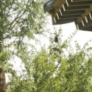 호수에 담다 이미지