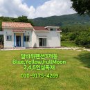 blue yellow house 이미지