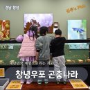 창녕 | 창녕우포곤충나라 후기｜아이와 가기 좋은 실내 체험형 관광지