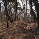 화곡2리 이미지