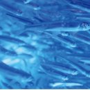 인제공인중개사사무소 이미지