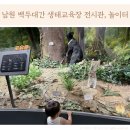 남원 백두대간 생태교육장 전시관, 실내 숲속놀이터 후기