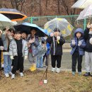 삼정초등학교 이미지