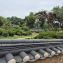 관곡지약국 이미지