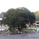 시례경로당? 이미지