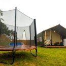 도그팰리스 이미지