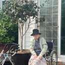 종려나무복지센터 이미지